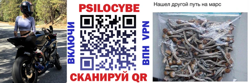 Псилоцибиновые грибы Magic Shrooms  мега как войти  Темников 